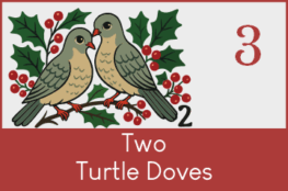 Podcast EP003 Two Turtle Doves