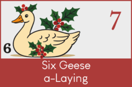 Podcast EP007 Siz Geese a-Laying
