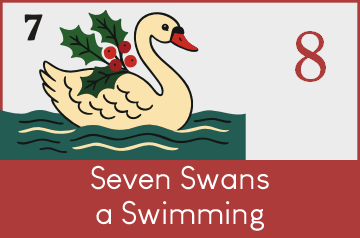 Podcast ep008 seven swans a swimming