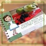 The Preserving School Book Shop